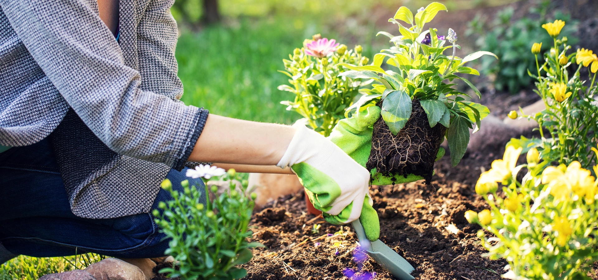 The therapeutic power of green environments
